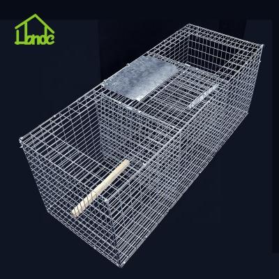 China Viable Hot Selling Collapsible Bird Cage Trap With High Quality for sale