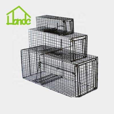 China Live Trap Cage Sets All-Round Viable for sale