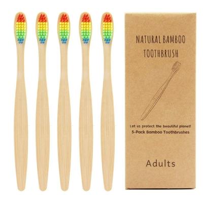 China Disposable Adult Natural Long Handle Soft Bamboo Brush for sale