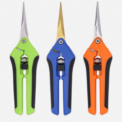 China Garden Working Professional Gardener Titanium Scissors Steel Straight Blade Trimming Shears for Trees for sale