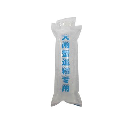 China Insulated Cooler Ice Packs Beverage Lunch Keep Cool Food Bag Freeze Ice Packs for sale