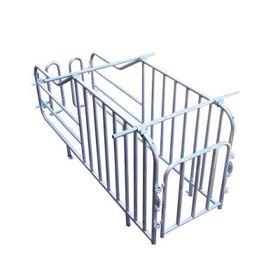 China Factory Supply Easy Assembled Stainless Steel Sow Gestation Stalls Sturdy And Durable Sow Gestation Stalls for sale