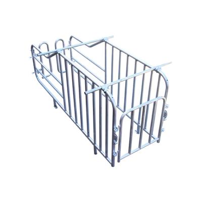 China Pig Factory Price Pregnant Hot Dip Galvanized Double Door Pig Gestation Stall Pig Pen Design for sale