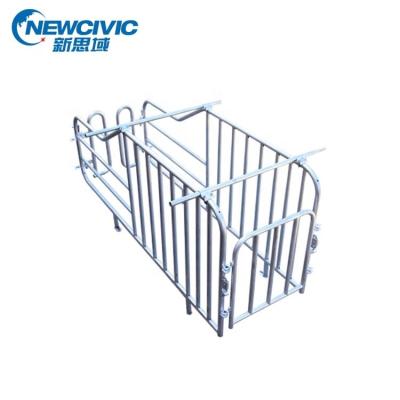 China 2022 Popular Pig Equipment Easy Assembled Gestation Stall Feeding Crate For Sows Pig Pregnancy Definition Cage Farming for sale