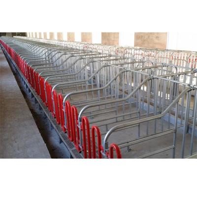 China Easy Assembled Poultry Gestation Crate Sow Pig Positioning System Pen / Hot Dipped Galvanized Pig Farm Equipment for sale