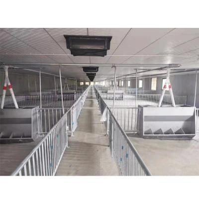 China Pig Farm Feeder Stall Poultry Equipment Easy Herded Hog Cages Hog Fencing Equipment for sale