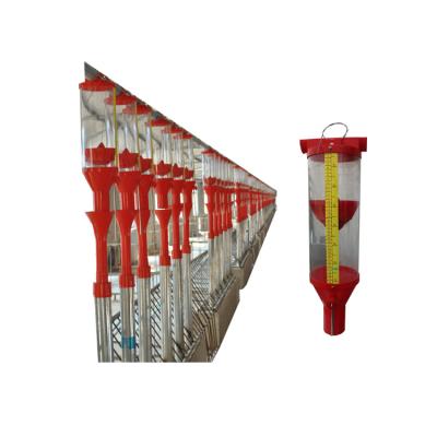 China High performance automatic pig farm feeder automatic pig farm equipment automatic feeder for sale