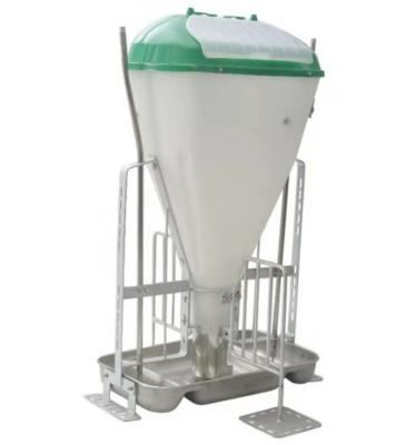 China Easy Assembled Automatic Feeding Line Pig Feeder Equipment Plastic Hog Wet Dry Bowl 304 SS Material Of Nursery Stall for sale