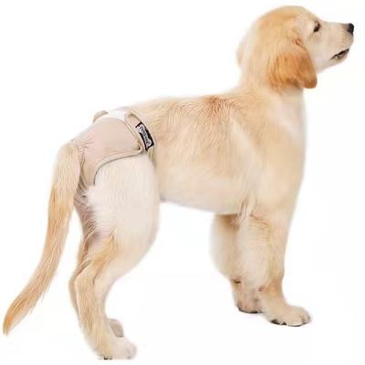 China Viable female pants diaper menstrual anti-harassment hygiene dog Teddy Golden Retriever pet aunt pants horny pants for sale