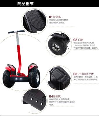 China Park Amusement Use Teenager Dual Wheel Off Road Electric Scooter With Colorful LED light for sale