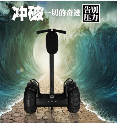 China 19 Rad-elektrischer Kampfwagen-Roller des Zoll-Reifen-zwei weg von Sport Straße Segway im Freien zu verkaufen