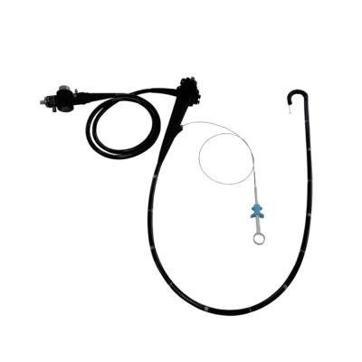 China Other LTEG11 Endoscope Visual Gastroscope for sale