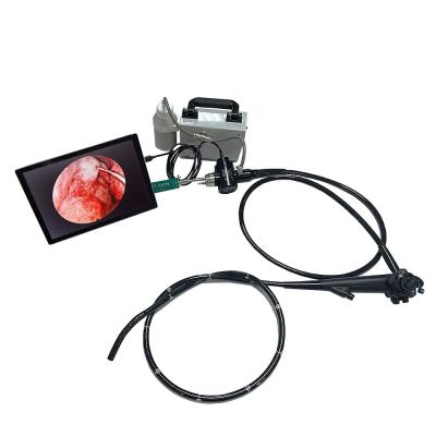 China LTEG22 Portable Medical Endoscope USB Option Flexible Medical Video Colonoscope for sale