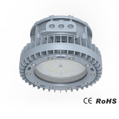 China Feuerfestes industrielles LED Flut-Licht 4000K 5000K 30 Watt-bis 80 Watt-Seelöwe-Reihe zu verkaufen