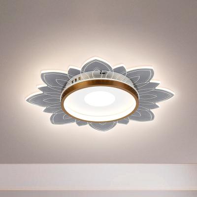 China Simple Indoor Home Modern Decoration LED Outdoor Mounted Designer Ceiling Lights For Bedroom for sale