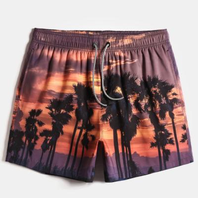 China Men's Anti-Wrinkle Beach Landscape Print Drawstring Waist Loose Vacation Surfboards Shorts for sale