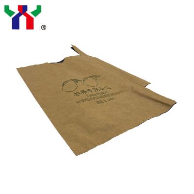 China Mango pear peach tomato peach fruit paper bag waterproof and dust proof for sale