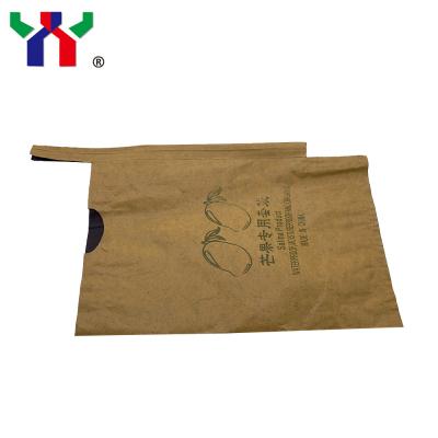 Chine Sac de papier adapté aux besoins du client de fruit de double-couche pour le melon de Hami de raisin de poire de pomme à vendre