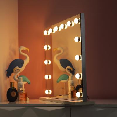 China Hot Sales Illuminated Special HOLLYWOOD Makeup LED Mirror With 14 Led Bulbs for sale