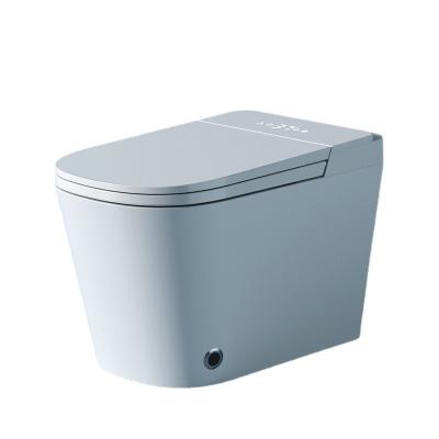 China Fashionable Concealed Cistern Badkamer PP Cover Sitting Pan Closestool One Piece Bathroom Ceramic Toilet for sale