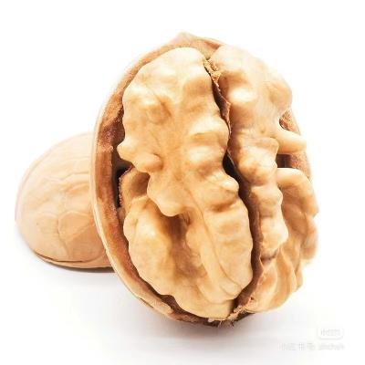 China Wholesale Snack Walnut Kernels Raw Walnut Inshell Nuts for sale