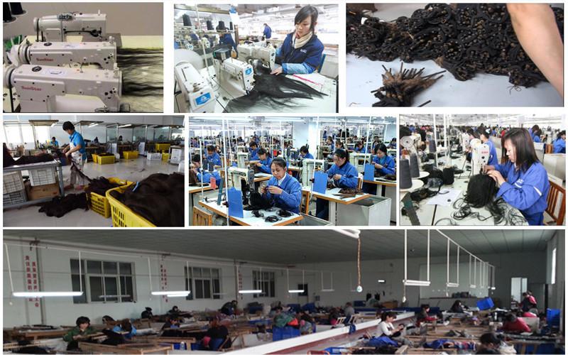 Proveedor verificado de China - Guangzhou Xibolai Hair Products Firm