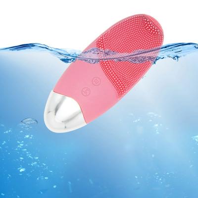 China DEEP CLEANSING Ready To Ship Electric Facial Roller Massager Brush Silicone Cleansing Brush Factory Direct Sale for sale