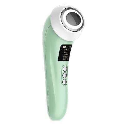 China Fashionable Home Use Fresh Hot Skin Rejuvenation Beauty Instrument for sale