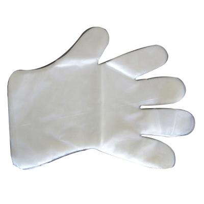 China PE Cleaning Material And Use Disposable Plastic Cleaning Gloves for sale