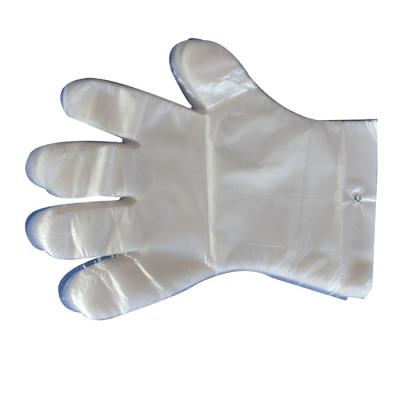 China China Factory Supply Direct Ne- Polyethylene Eco-Friendly Gloves for sale