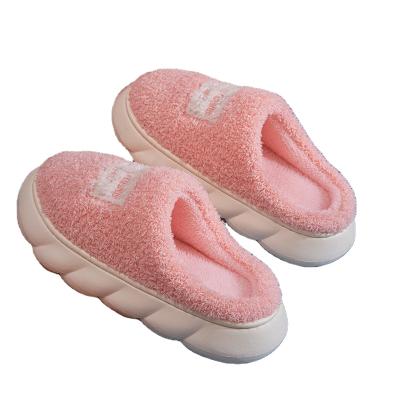 China Winter Fashion Trend Fashion Ladies Slippers Flat Slippers Artificial Fur Warm Ladies Home Shoes for sale