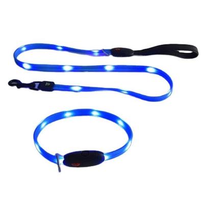 China Morden Fashional USB LED Lights Rechargeable Pet Collar Durable Flashing Leash for sale