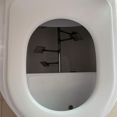 China Bio Automatic Operation Wholesale Customization Portable Waterless Composting Toilet for sale