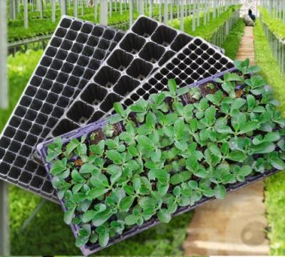 China Planting Trays Custom Plant Garden Seedling Tray Plasti Quality Hydroponics Hydroponics Trays for sale