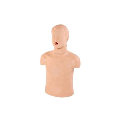 China Adult Training Manikin Half Body CPR Model Obstruction Chest External Compression BOU/CPR155 for sale