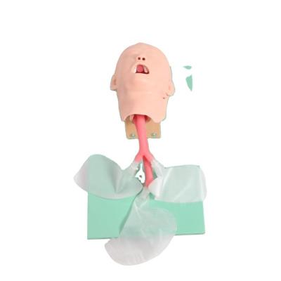 China Medical Science Teaching Oral and Nasal Intubation Advanced Child Trachea Intubation Model BOU /J1A for sale