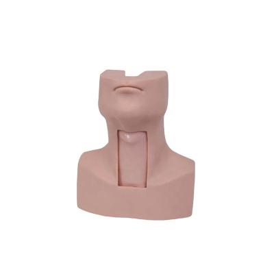 China PVC Material Advance Medical Science Thyrocricocentesis Tracheostomy Simulator Surgical Training Model for sale