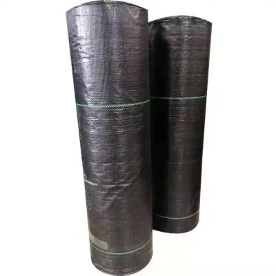 China Tejido de geotextil de polipropileno 100% negro de hierba agrícola en venta