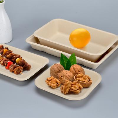 China Disposable Eco-friendly Biodegradable Environmental Biodegradable Unbleached Sugar Cane Bagasse Pulp Dish Tray for sale