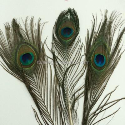 China Wedding Event Peacock Sword Wholesale Cheap Feather for sale