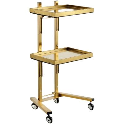 China Modern Popular beauty salon cabinet professional furniture wholesale rolling modern hairdressing hair barber trolley cart salon for sale