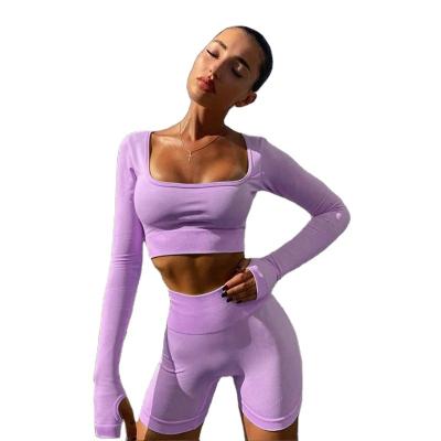 China Factory Direct Sale Breathable Gym Wear Women 2 Piece Yoga Wear Wholesale Private Label Fitness Clothing Sets Activewear Manufacturers Set for sale