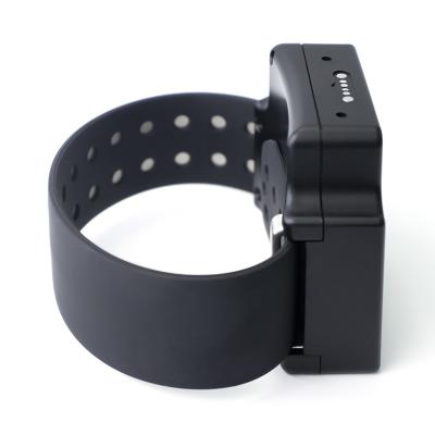 China Professional 3G Gps Wristband Tracker For Prisoner Offender Watch Gps Smart Ankle for sale