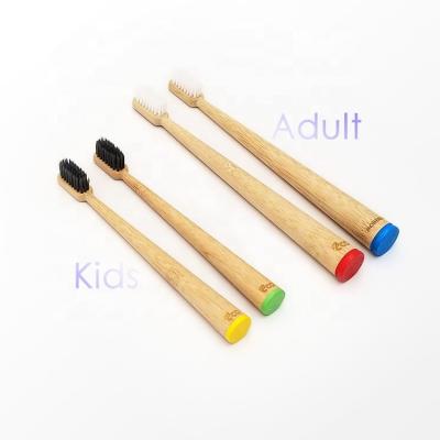 China BPA Free Large Tapered Holder Shape Adults And Children Paint Bottom For To Keep Bamboo Toothbrush Dry for sale