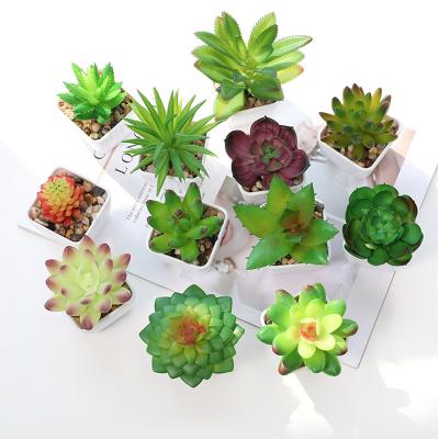 China Indoor and Outdoor Decorative Plants Mini Succulent Plant Pot of Mini Artificial Succulent Plants For Lifelike Bonsai Trees for sale