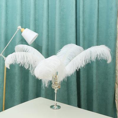 China Wholesale cheap price decoratiive ostrich feather 30-65cm natural white fashion ostrich weeding natural feather eco-friendly for sale