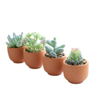 China Hot Selling Plastic Succu Home Bonsai Plants Decorations Amazon Office Cabinet Wholesale Potted Living Room TV Artificial Succulent for sale