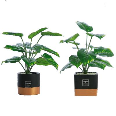 China Amazon Silk Nordic Artificial Home Decorative Success Potted Plants Ins Green Tree Plants for sale