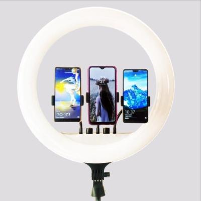 China PORTABLE Remote Control M22 Inch Beauty Live Broadcast LED Anchor Beauty Fill Light Ring Light for sale