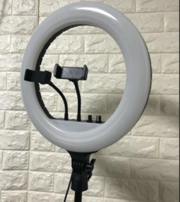 China Brightness 14 Inch Adjustable Series RL Series Colorful Beauty Anchor Photography Selfie Light Fill Light Effect for sale